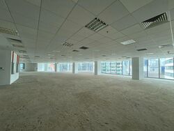 PLUS (D1), Office #485421051